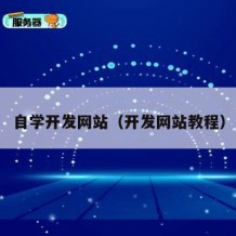 自学开发网站（开发网站教程）