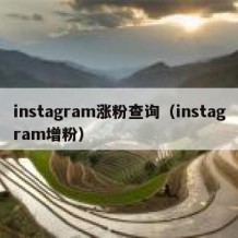instagram涨粉查询（instagram增粉）