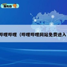 哔哩哔哩（哔哩哔哩网站免费进入）