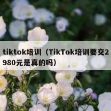 tiktok培训（TikTok培训要交2980元是真的吗）