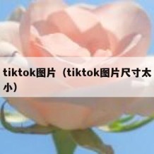 tiktok图片（tiktok图片尺寸太小）