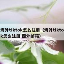海外tiktok怎么注册（海外tiktok怎么注册 国外邮箱）
