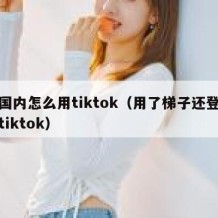 在国内怎么用tiktok（用了梯子还登不上tiktok）
