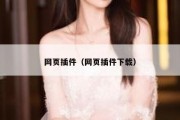 网页插件（网页插件下载）