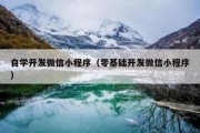 自学开发微信小程序（零基础开发微信小程序）