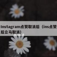 Instagram点赞取消后（ins点赞后立马取消）