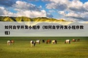 如何自学开发小程序（如何自学开发小程序教程）