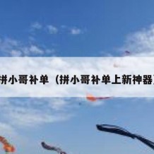 拼小哥补单（拼小哥补单上新神器）