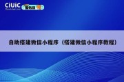 自助搭建微信小程序（搭建微信小程序教程）