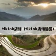 tiktok店铺（tiktok店铺运营）
