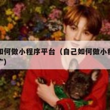 自己如何做小程序平台（自己如何做小程序平台推广）