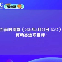 根据当前时间戳（2024年6月28日 15:37），计算动态选项目标：