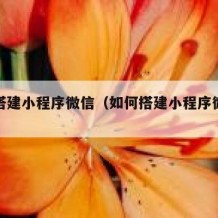 如何搭建小程序微信（如何搭建小程序微信公众号）