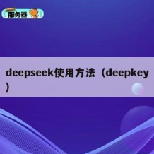 deepseek使用方法（deepkey）