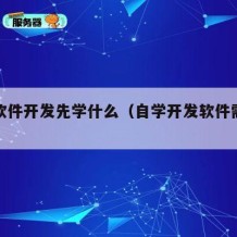 自学软件开发先学什么（自学开发软件需要多久）