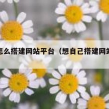 自己怎么搭建网站平台（想自己搭建网站得怎么做）