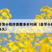 自学开发小程序需要多长时间（自学小程序开发得多久）
