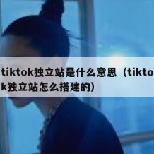 tiktok独立站是什么意思（tiktok独立站怎么搭建的）