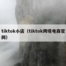 tiktok小店（tiktok跨境电商官网）