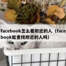 facebook怎么看附近的人（facebook能查找附近的人吗）