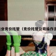 制造业竞价托管（竞价托管公司操作流程）