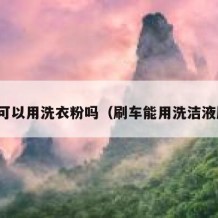 刷车可以用洗衣粉吗（刷车能用洗洁液刷吗）