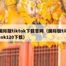 国际版tiktok下载官网（国际版tiktok120下载）
