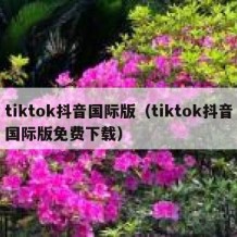 tiktok抖音国际版（tiktok抖音国际版免费下载）