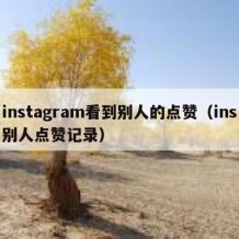 instagram看到别人的点赞（ins别人点赞记录）