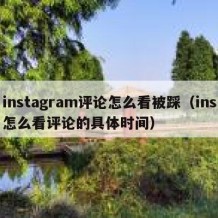 instagram评论怎么看被踩（ins怎么看评论的具体时间）