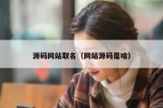 源码网站取名（网站源码是啥）