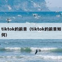 tiktok的前景（tiktok的前景如何）