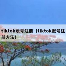 tiktok账号注册（tiktok账号注册方法）