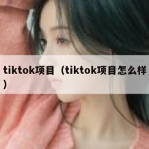 tiktok项目（tiktok项目怎么样）
