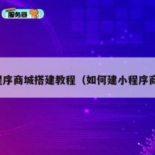 小程序商城搭建教程（如何建小程序商城）