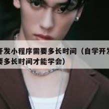自学开发小程序需要多长时间（自学开发小程序需要多长时间才能学会）