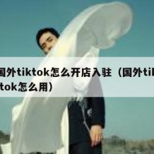 国外tiktok怎么开店入驻（国外tik tok怎么用）