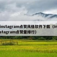 instagram点赞风格软件下载（instagram点赞量排行）