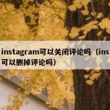 instagram可以关闭评论吗（ins可以删掉评论吗）