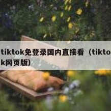 tiktok免登录国内直接看（tiktok网页版）
