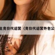 河北竞价代运营（竞价代运营外包公司）