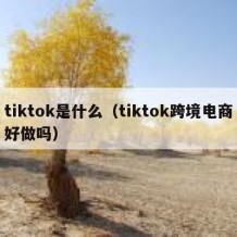 tiktok是什么（tiktok跨境电商好做吗）
