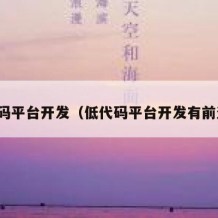 低代码平台开发（低代码平台开发有前途吗）