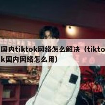 国内tiktok网络怎么解决（tiktok国内网络怎么用）