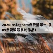 2020Instagram点赞量第一（ins点赞数最多的作品）