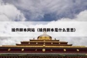 插件脚本网站（插件脚本是什么意思）