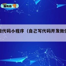 自己敲代码小程序（自己写代码开发微信小程序）