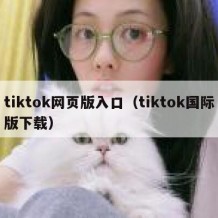 tiktok网页版入口（tiktok国际版下载）
