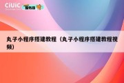 丸子小程序搭建教程（丸子小程序搭建教程视频）