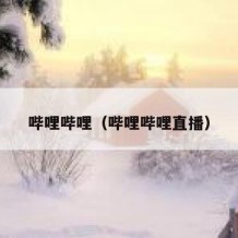 哔哩哔哩（哔哩哔哩直播）
